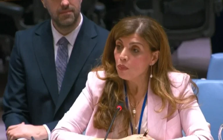 UNMIK chief commemorates Bajram Cerkin at UN Security Council meeting