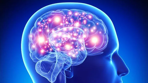 Recent research on Alzheimer's may help identify better drugs