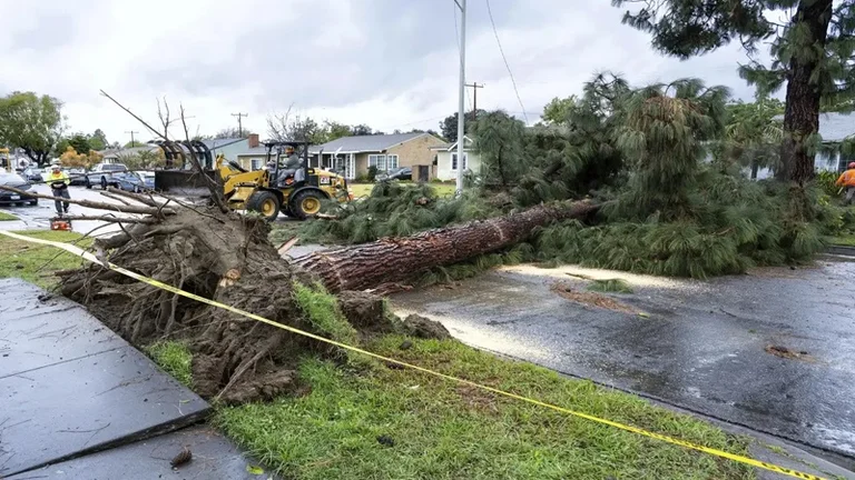 U.S. Storm, 16 people dead.