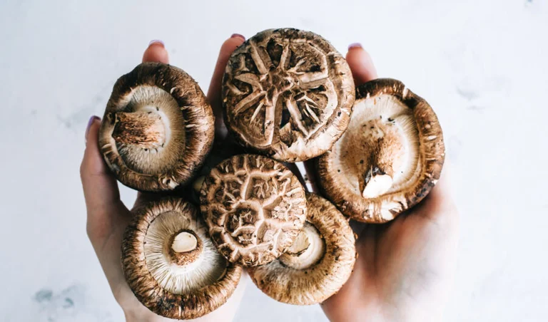 5 More valuable mushroom supplements to support your mind and body