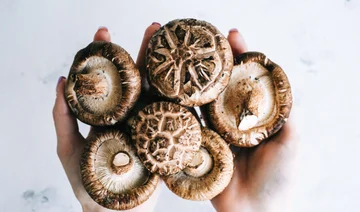 5 More valuable mushroom supplements to support your mind and body