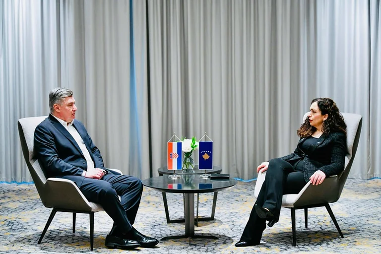 Osman meets with Croatian president: Croatia, precious ally in regional defence, security field