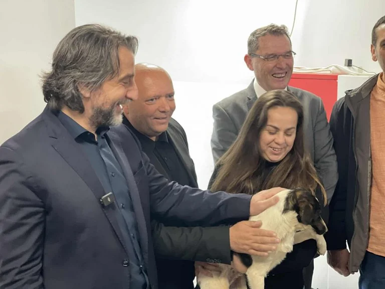 The 1,000's dog in the capital remains on the streets for another 4,000
