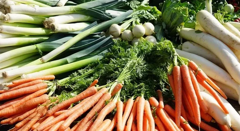 Cinq aliments de printemps qui accroissent l'immunité et améliorent la formation