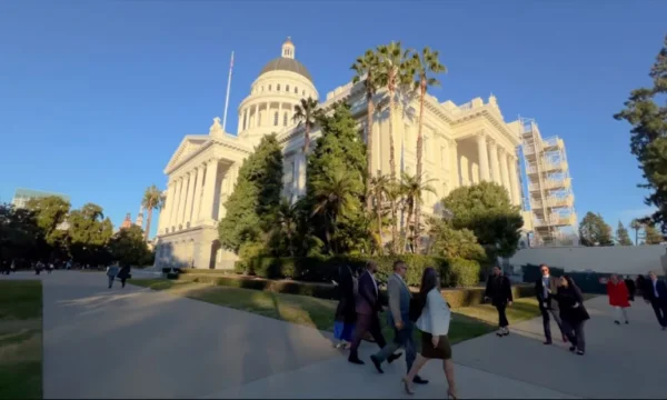 Diritto dei social media della California