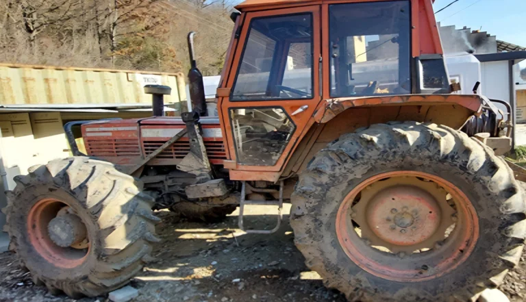 Trafic de bois interdit dans la région de Nischevci, deux personnes interdites