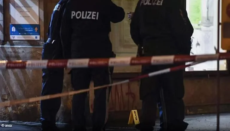 Austria Trond: Una persona pugnala un quattordicenne e ferito quattro giovani sulla strada