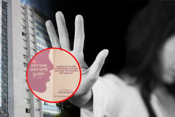 “Nuk ka dalë qysh e kemi prit”- A u punësuan të mbijetuarat e dhunës në familje me masën e qeverisë?