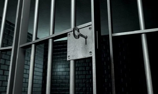 Three years and two months in prison for those accused of involvement in terrorist group “Al Nusra”