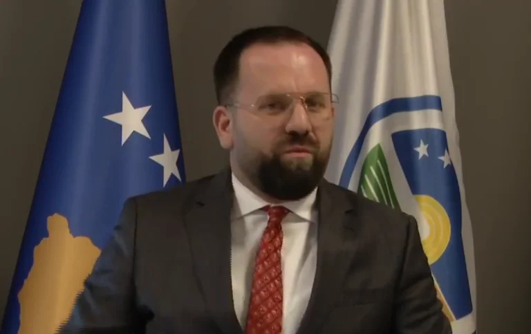 Rukiqi: Kurti dhe Vetëvendosje janë qesharakë e të rrezikshëm