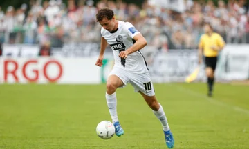 Adeliger Aslan in der Nähe der Bundesliga