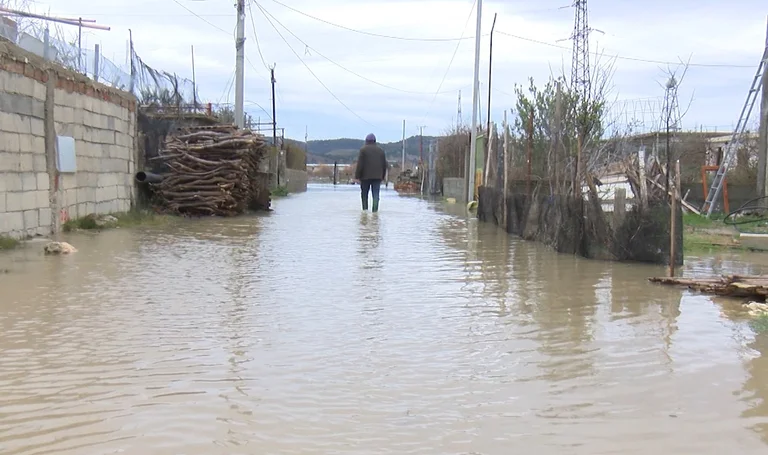 Oltre 100 acqua - famiglie circondate alluvione quartieri Vlora