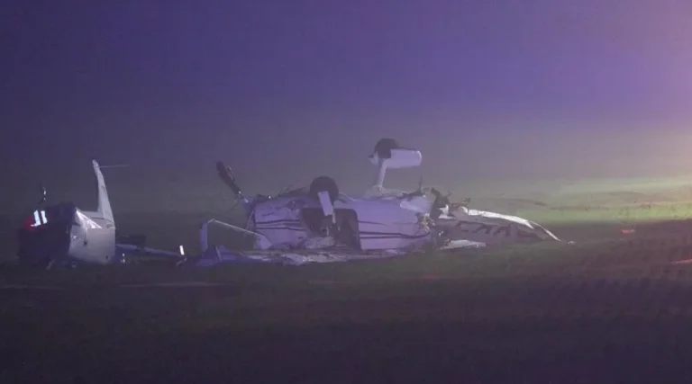 Accident aérien à Stutgart, deux blessés graves après la chute du papillon