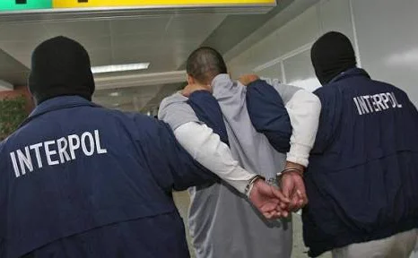 Condannato per traffico di droga, prostituzione e furto: 4 albanesi Extrade in Italia, due in Albania