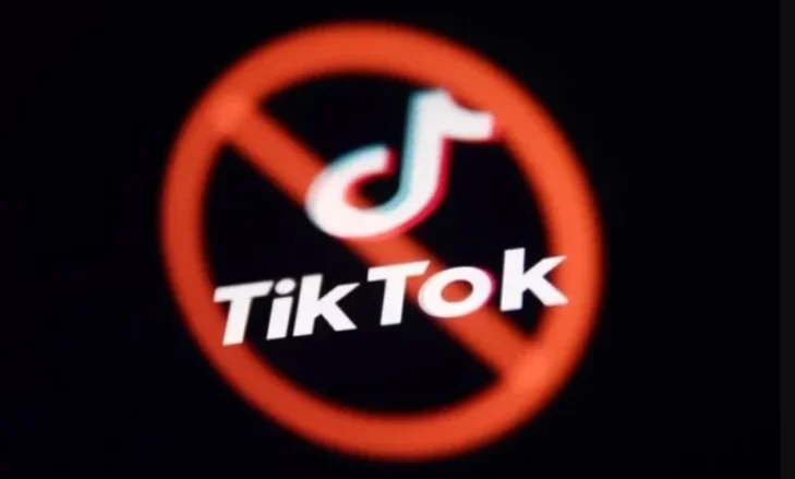 The government decides: Tik-tok to close in Albania