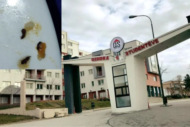 Insektenfutter, Haar und Kunststoff in Mensa reagieren auf Studentenzentrum