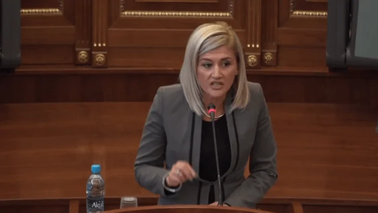 Kusari-Lila criticises the PDK for sending laws to the Constitutional: They're positioned against citizens.