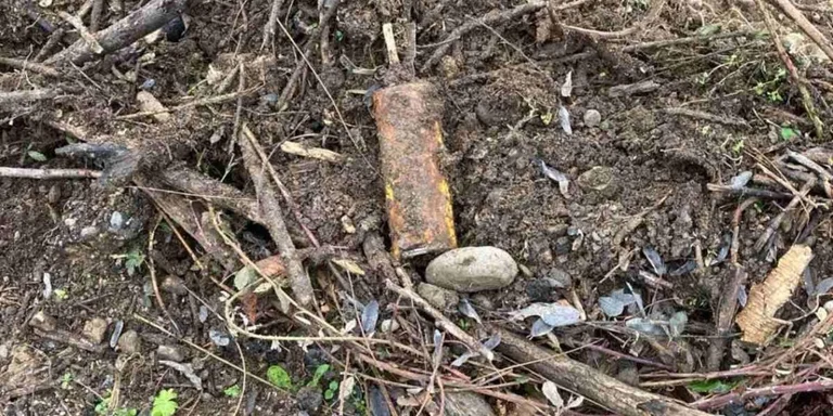 Il y a une bombe dans le jardin d'une compagnie à Prizren, qui appartient à la guerre récente.