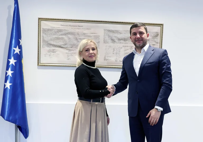 Krasniqi présente également un candidat pour adjoint: Igballe Aslan ) Potter valeur ajoutée au PDK