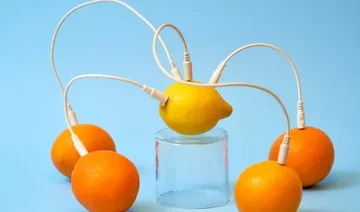 What to consume to strengthen our immune system