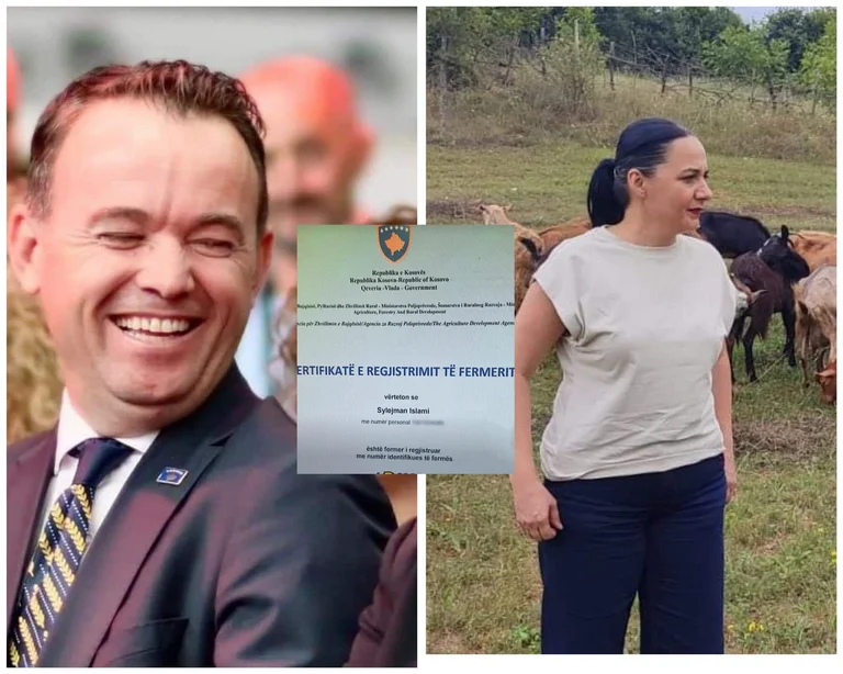 One hundred thousand for brother and uncle, the LDK hands over criminal gossip to grants against Peci and Pacolli: Someone has to quit.
