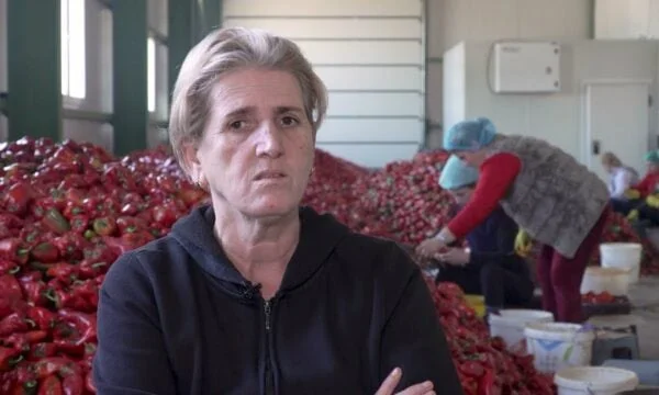 Cooperativa “Crusha”: Nous n'avons reçu aucun soutien du ministère de l'Agriculture pour être traités équitablement
