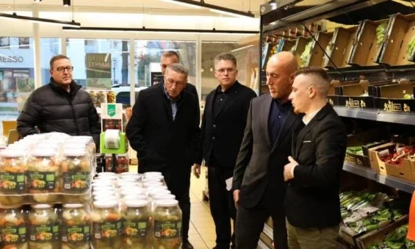 Haradinaj on Sunday in Germany, presents party programme