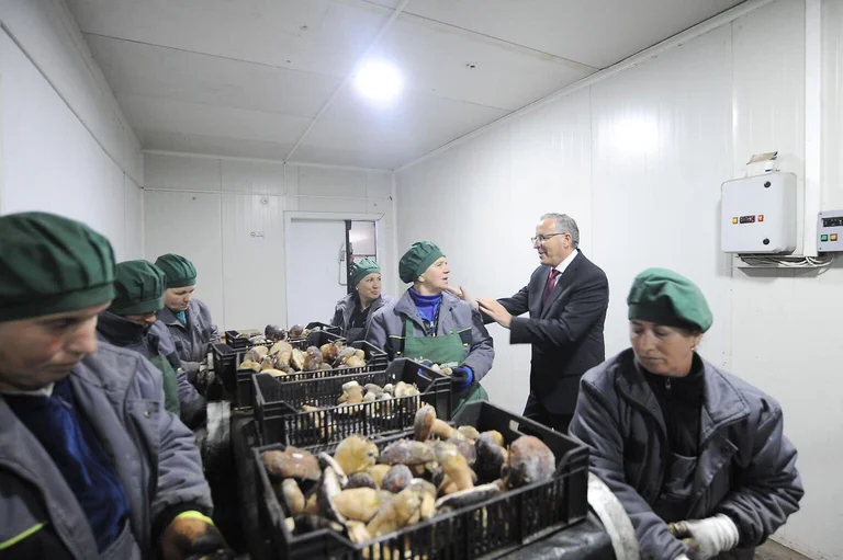 Hamza visits a local company in Skenderaj: The private sector will be supported without reserve