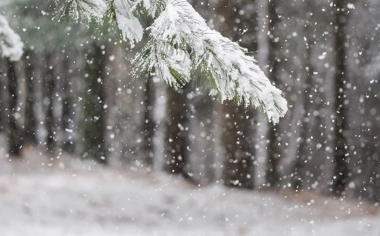 Aliu from IHMK gives the warning: This winter will be the coldest