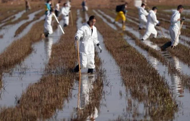 Research Continues in Dozens Missing From the Flood in Spain
