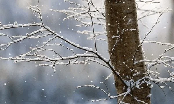 Next week snowfall in mountainous areas