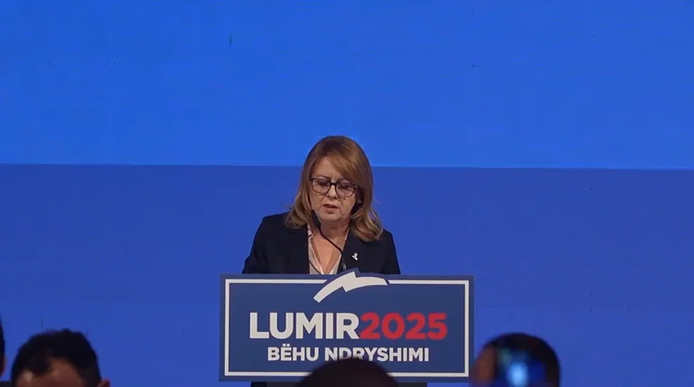 LDK's Bayram: The actions of this government have water types at Serbia's mill