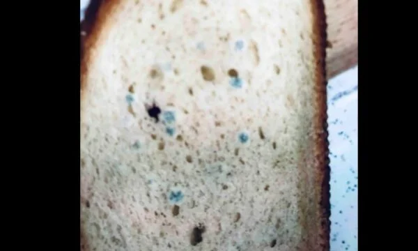 AAK Organising Secretary: Today, Kosovo soldiers served the mold bread