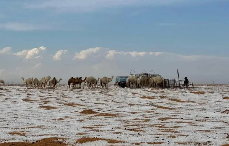 Bizarre: Neige en Arabie Saoudite