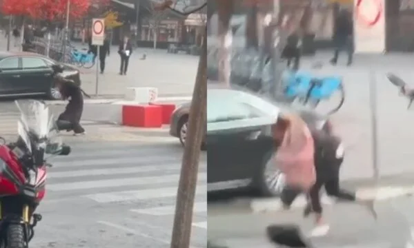 Nessun comfort a Pristina: Dopo i cani vaganti, i crows attaccano i cittadini (Video)