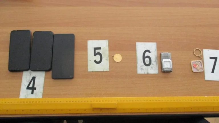 Two people arrested for serious theft in Prizren