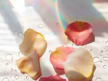 7 Rose Water Drinking Benefits, According to Experts