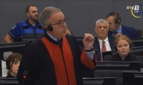 You're “Big error has been made”, Geci returns to Thaci's lawyer after he asked whether they were political opponents when he charges him