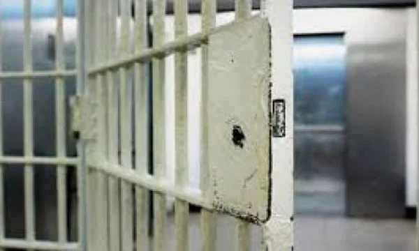 Released from custody one of the former administrators of “Albkings”