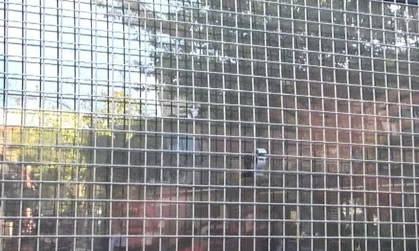 The moment Ilir Meta is sent to the cell, he makes eagle from the police van V IDEO