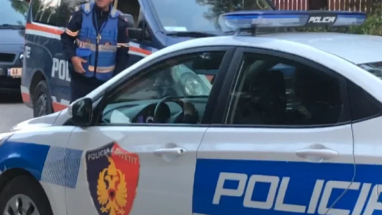 Kosovo's 27-year-old arrested at Rinas airport, suspected of forging documents