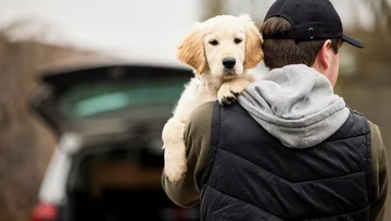 You're gonna get a puppy and you haven't decided what to call it yet? Here are the 10 most popular names for dogs.