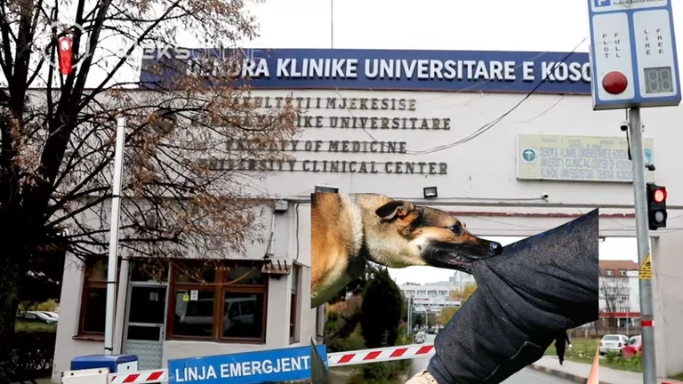 Bemalt eine Frau durch streuende Hunde vor QKUK
