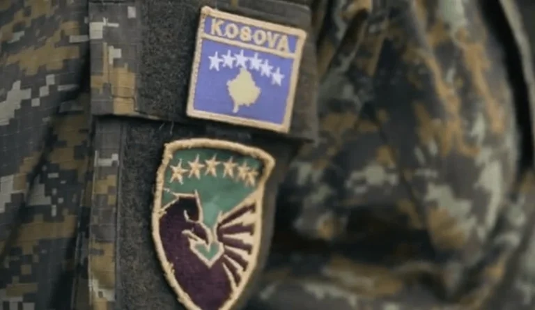 Nel corso di due anni, 251 soldati hanno dimesso da KSF