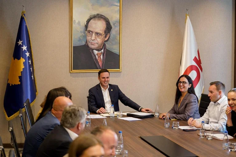 LDK launches mobilising meetings on February 9th, Obadiah: 20 candidates for MPs have been nominated from 5 Pristina branches