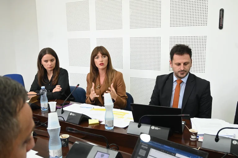 El proyecto de ley de verificación de bienes de la Oficina del Estado pasó a la Comisión de Legislación