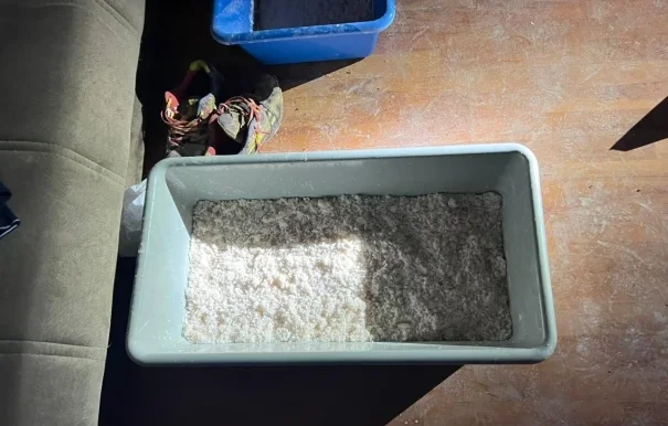 Un mois de détention de suspects pour le laboratoire de drogue de Pristina