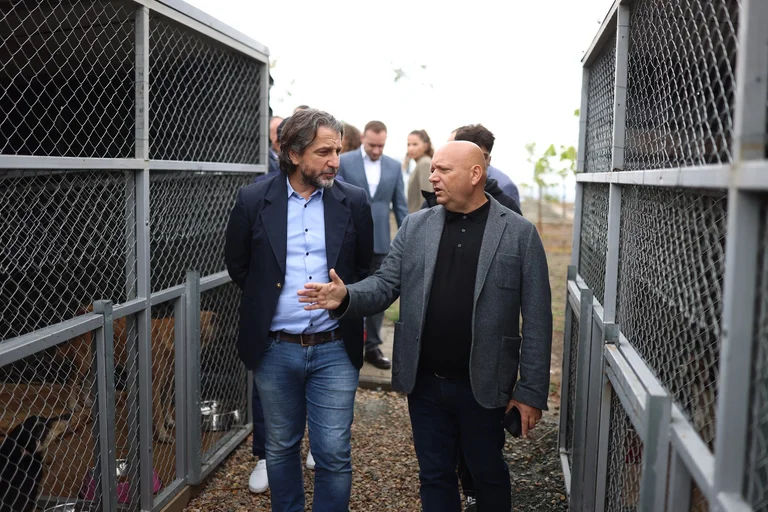 Rama: The problem of stray dogs in the capital is being solved, the centre inaugurated for treatment