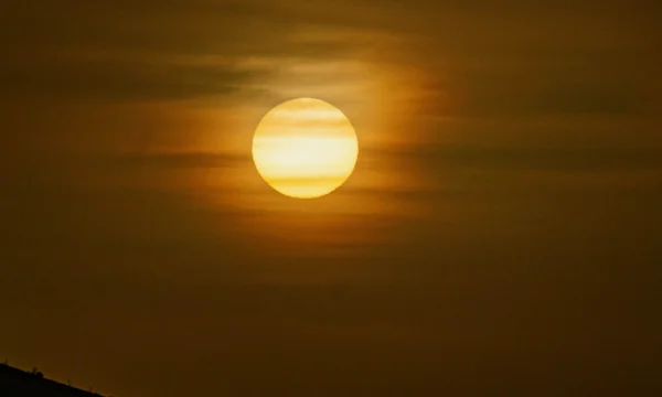 The UN Weather Agency warns <x0 red background” following record heat