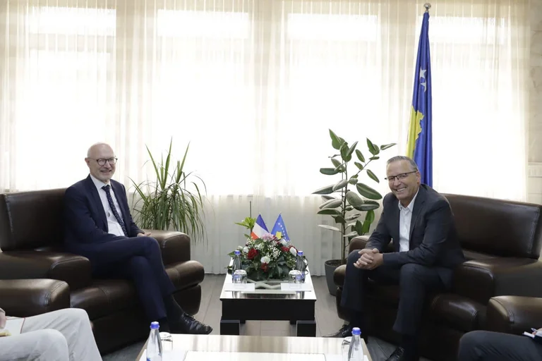 Hamza meets with Ambassador Guerot: France's strategic partner has supported us in all vital processes